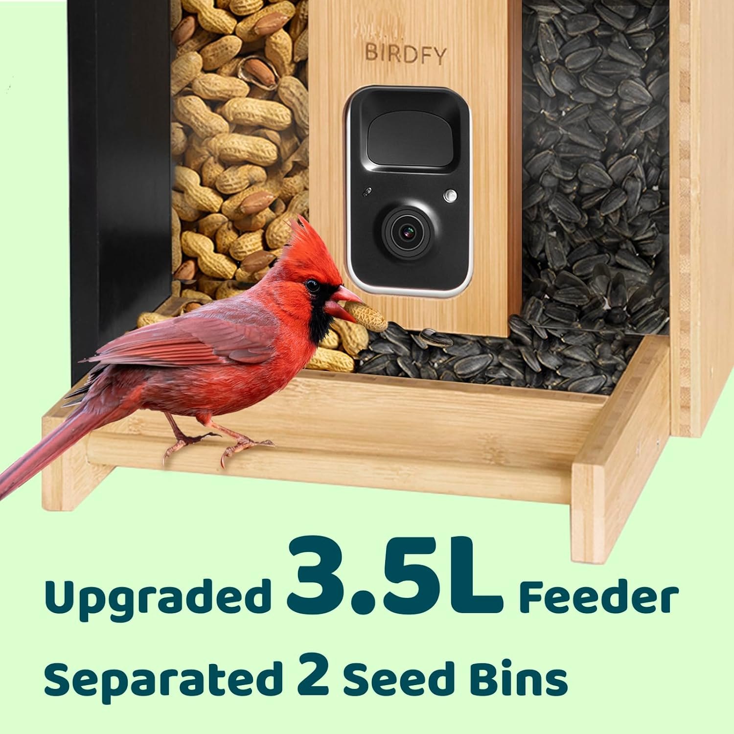 NETVUE by Birdfy Smart Bird Feeder with Camera Solar Powered, Permanent AI Identify 6000+ Bird Species & Motion Detection, Renewable Upgraded Bamboo Wood, Ideal Gift AI Permanent Service Already Checked Out — photo 9