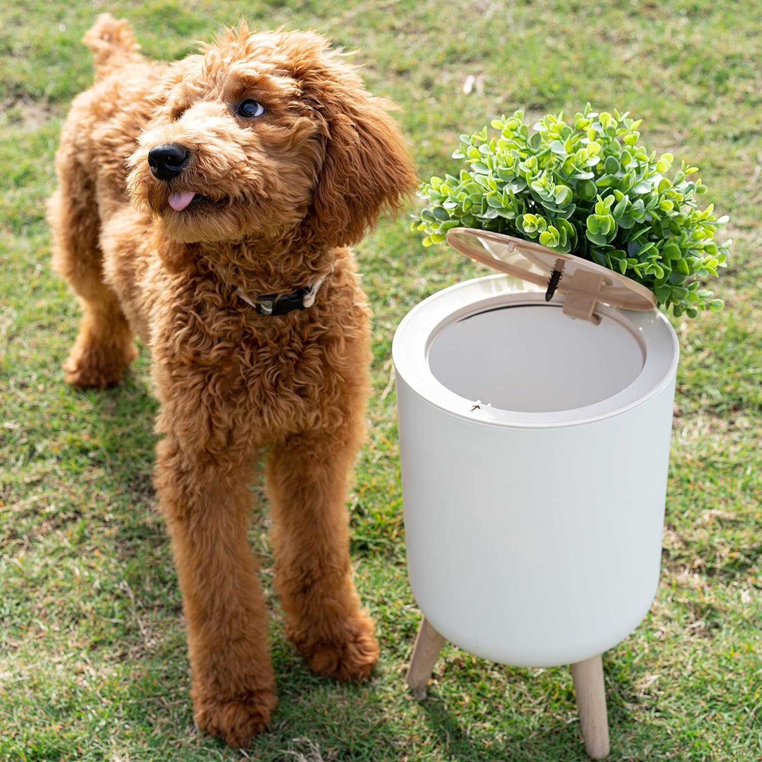 Earth & Mango Small Outdoor Trash Can with Lid - Dog Poop Trash Can Outside - Plant Styled Outdoor Garbage Can - 1.8 Gallon - Throw Away Pet Waste Discreetly — photo 5