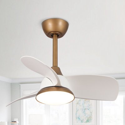 Haywa 28'' 3 - Blade Propeller Ceiling Fan with Remote Control and Light Kit Included