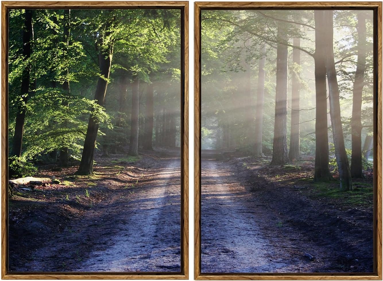 Palette Dreams Framed Green Forest Trail Canvas Print