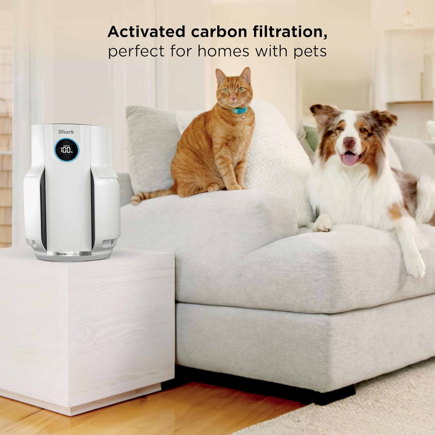 Shark Air Purifier for Home, NeverChange, for Large Room, Bedroom, Home Office, HEPA-Exceeding Filter, Captures Pollutants, Pet Dander, Dust, Odor, Smoke, and More, HP153, White White (650 sq. ft)