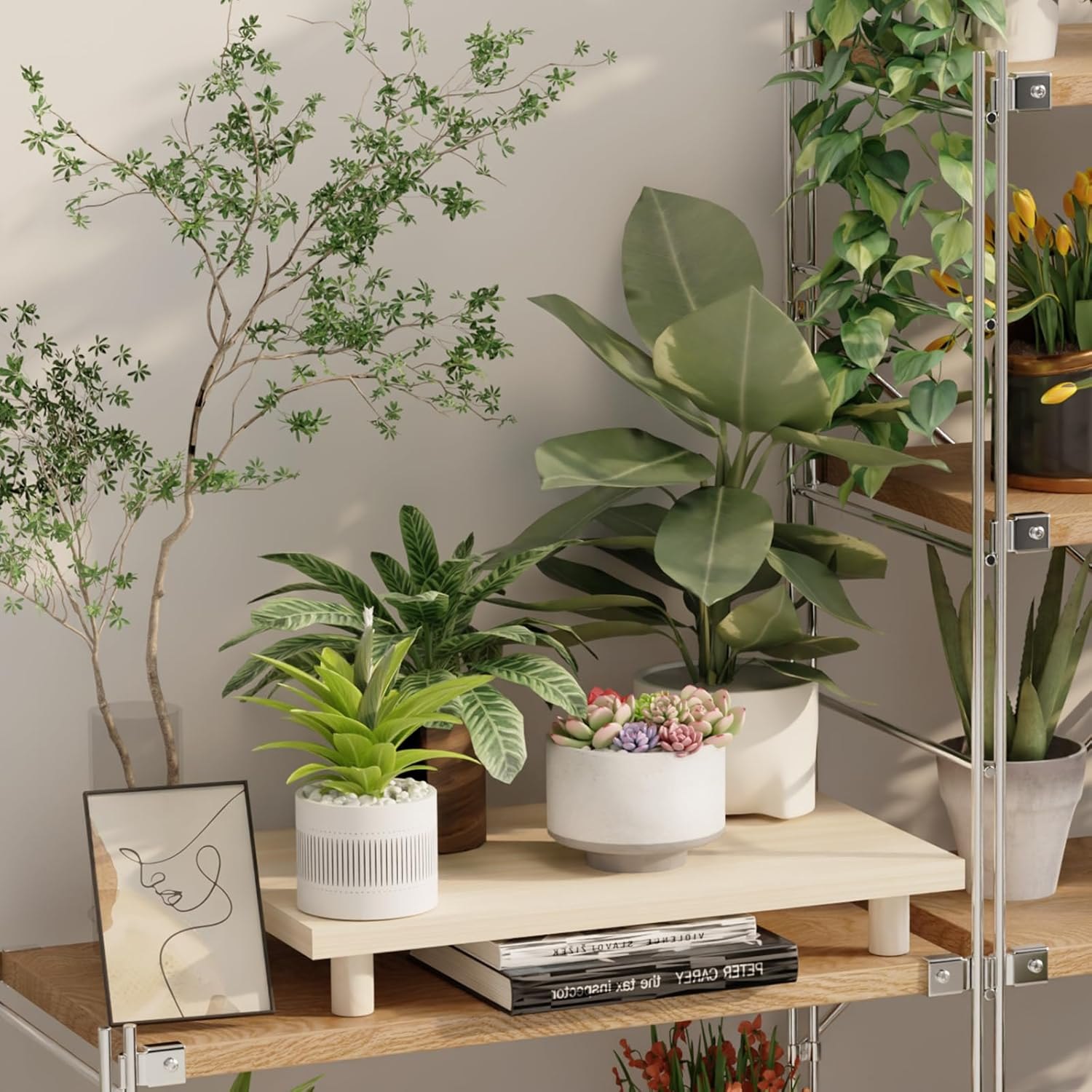 Heavy Duty Solid Wood Plant Stand, 75lb Capacity Solid Wood Desktop Shelf 50x25x9cm (19.7"x9.8"x3.5"), Super Strong Table Organizer for Heavy Pots Herbs Succulents — photo 5